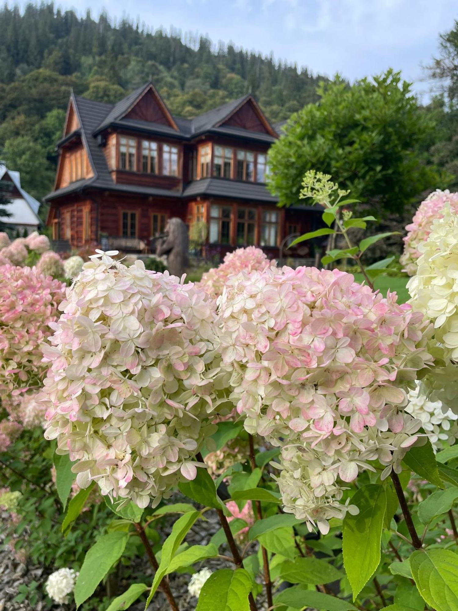 Niedzwiedzia Residence โปโรนิน ภายนอก รูปภาพ